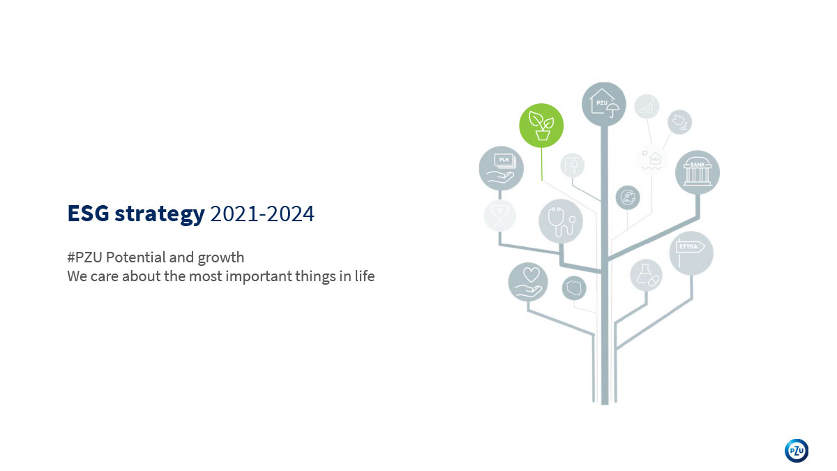 ESG strategy 2021