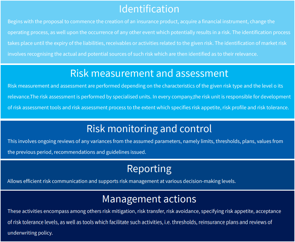 The risk management process graphic